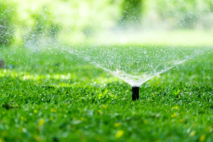 Wie Oft Und Wie Viel Wasser Für Ihren Rasen